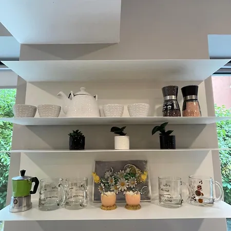 Devis * Бухарест